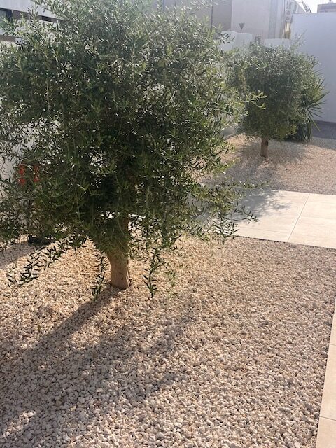 Home foto 05 11082026